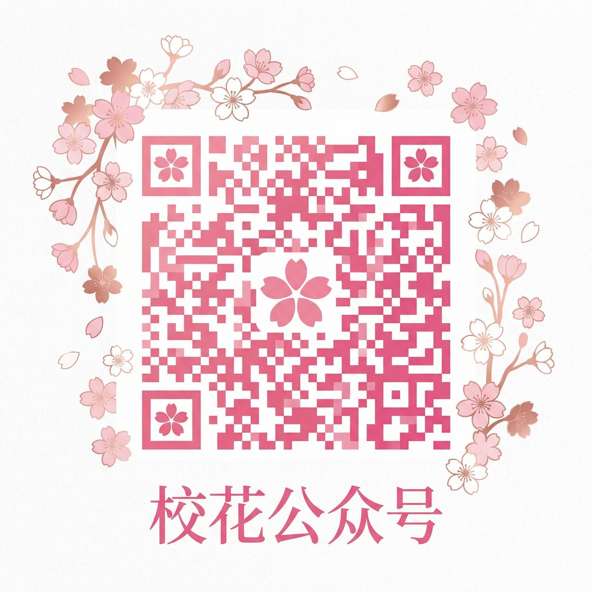 探花网公众号二维码